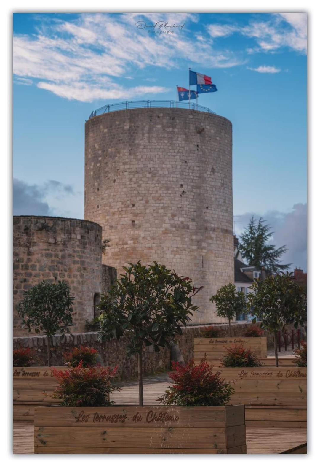 Chambre d'hôte du Château Dourdan Exterior foto