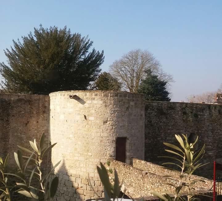 Chambre d'hôte du Château Dourdan Exterior foto